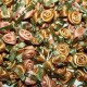 Ribbon Roses - Small - Old Gold