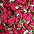 Ribbon Roses - Small - Cerise