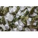 Ribbon Roses - Large - White