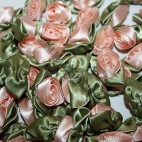 Ribbon Roses - Large - Pale Peach