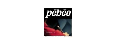 Pebeo 3D Paints